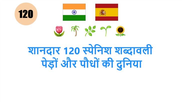 शानदार 120 स्पेनिश शब्दावली: पेड़ों और पौधों की दुनिया